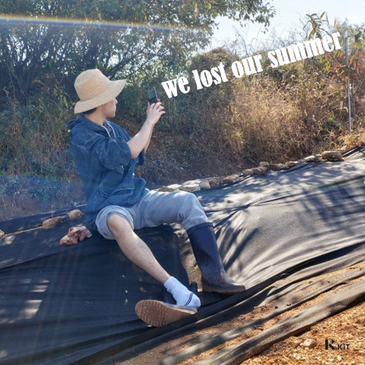BEENCHILD - We Lost Our Summer - KiTalbum