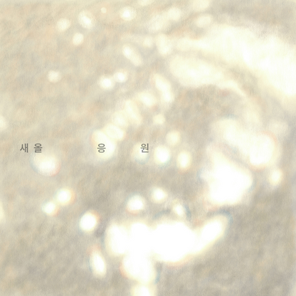 새올 - 응원 - KiTalbum