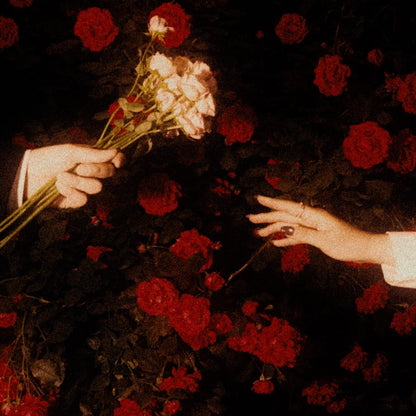 은연하게 - a Rose - KiTalbum